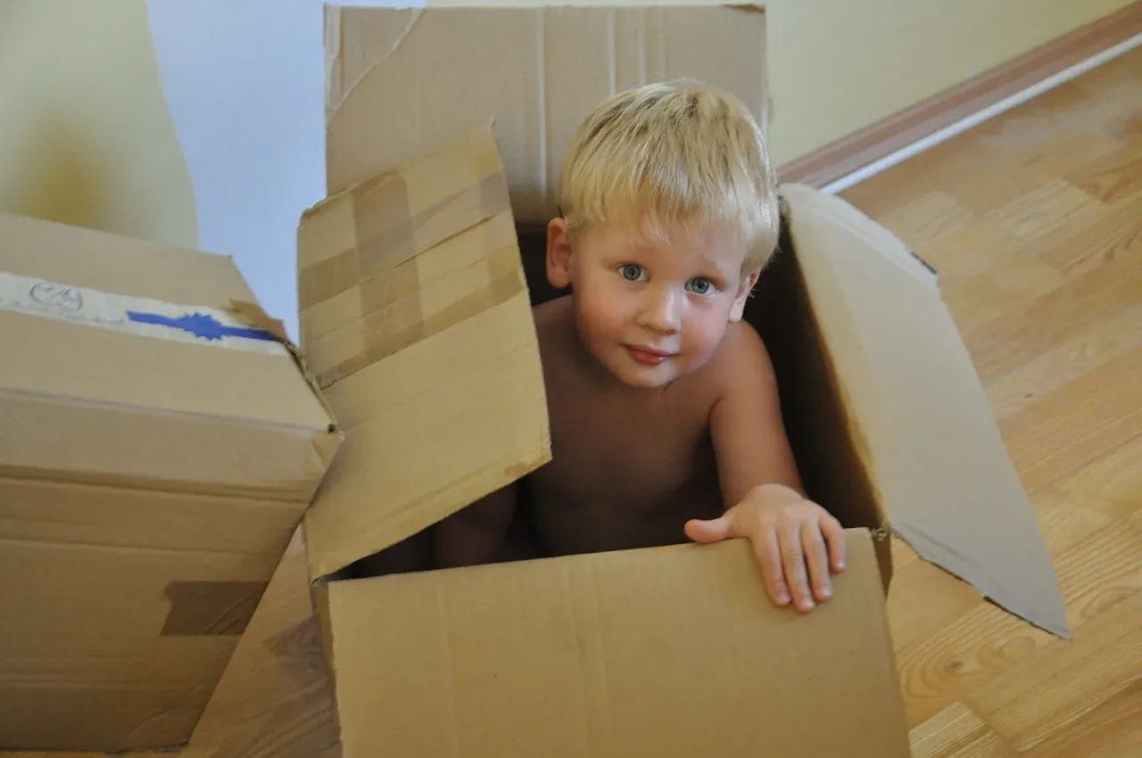 Toddler sitting inside cardboard box
