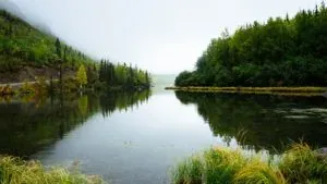Calm lake with misty forest