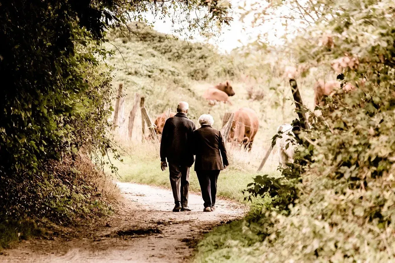 Elderly couple walking rural path past grazing cows