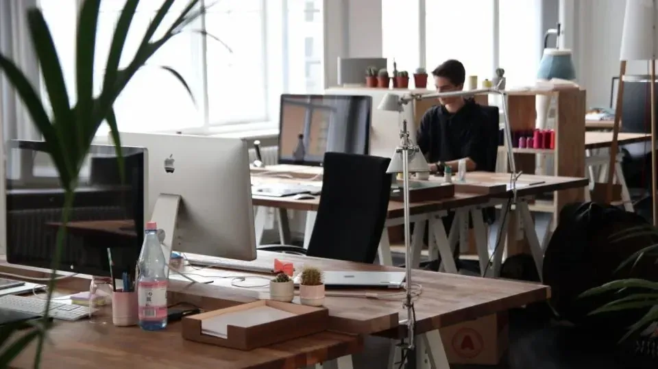 Modern office workspace with desktop computers and plants