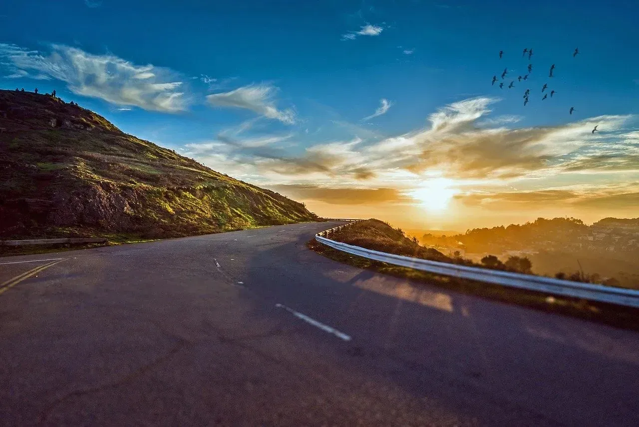 Winding mountain road at sunset with birds
