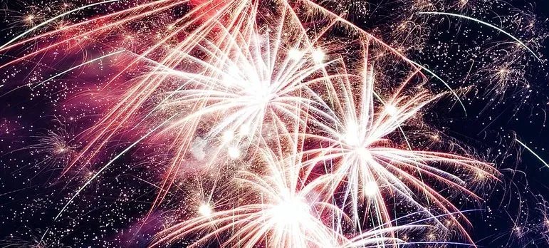 Fireworks bursting in night sky
