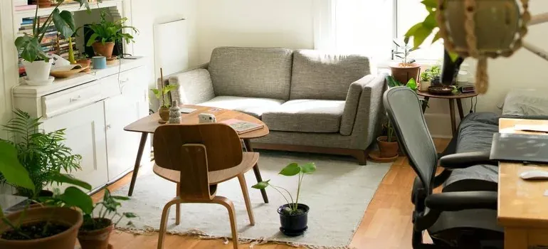 Cozy living room with plants