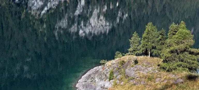 Mountain lake shoreline with pine trees on rocks