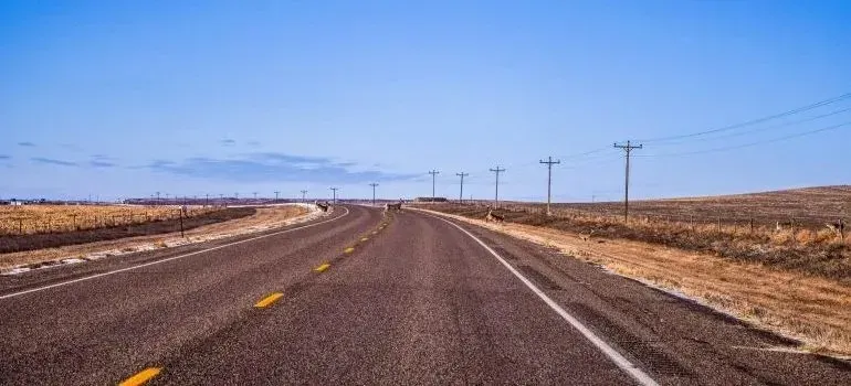 Empty rural highway with deer crossing under blue sky