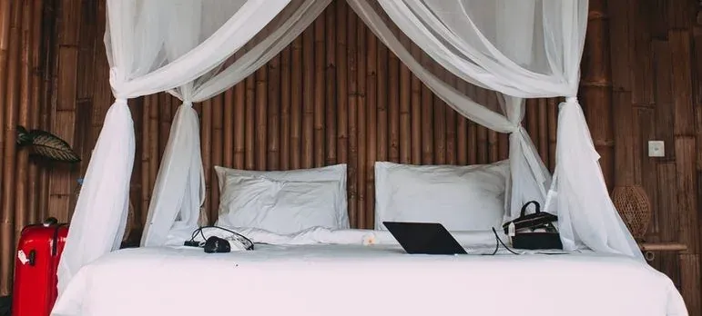 Canopy bed with laptop, bamboo wall