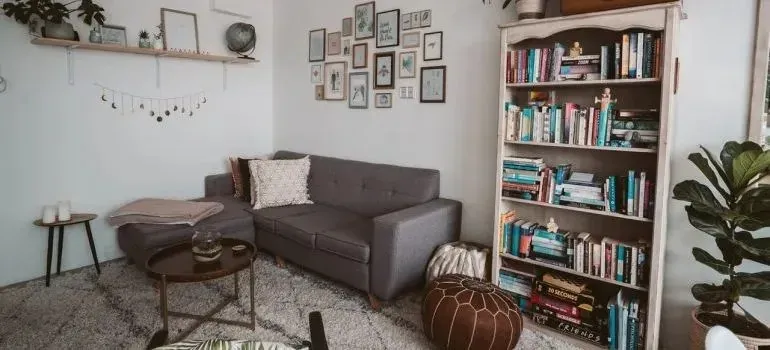 Cozy living room with gray sofa and full bookshelf