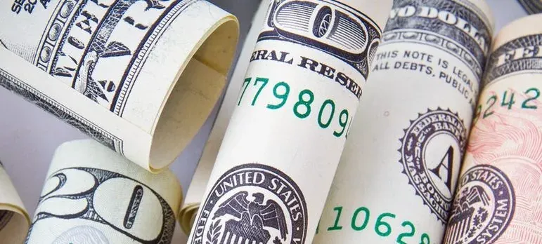 Rolled US dollar bills close-up