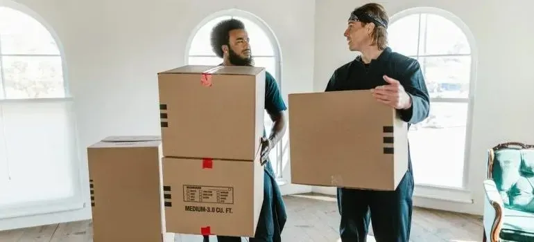 Two movers carrying stacked cardboard boxes in bright room