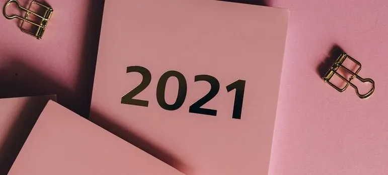 Pink 2021 planner with gold clips