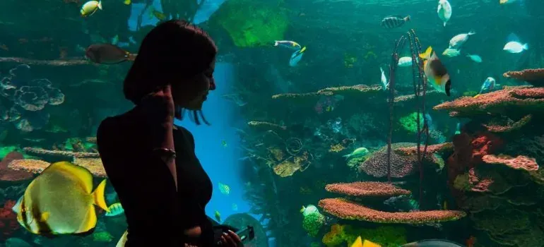 Woman silhouette at aquarium tank