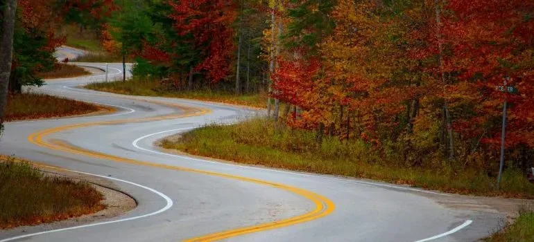 Winding road through autumn forest