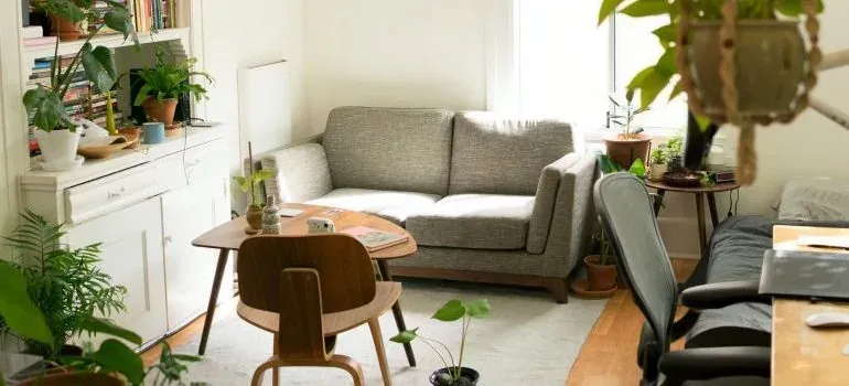 Cozy living room with plants