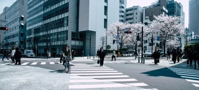 City crosswalk with pedestrians, cyclist, and cherry blossoms