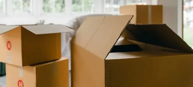 Open cardboard moving boxes in bright living room