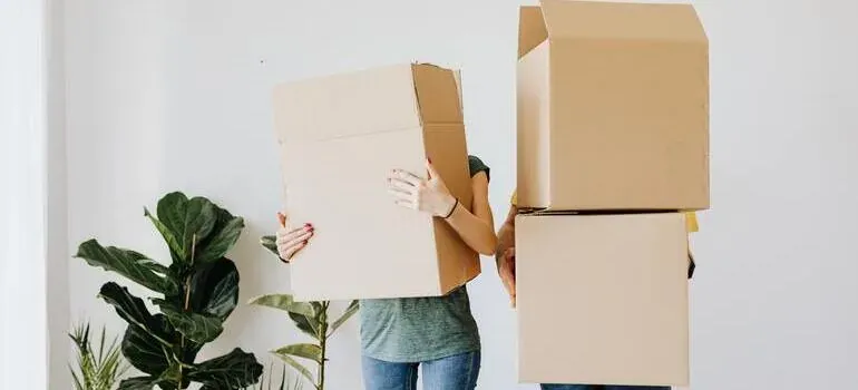 Couple hidden behind cardboard boxes