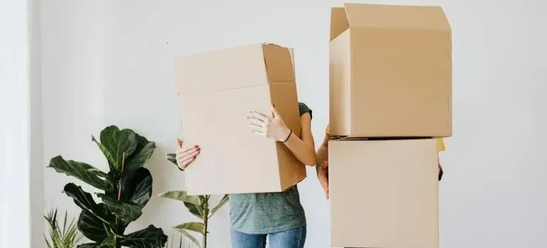 Two people carrying large plain boxes past houseplants