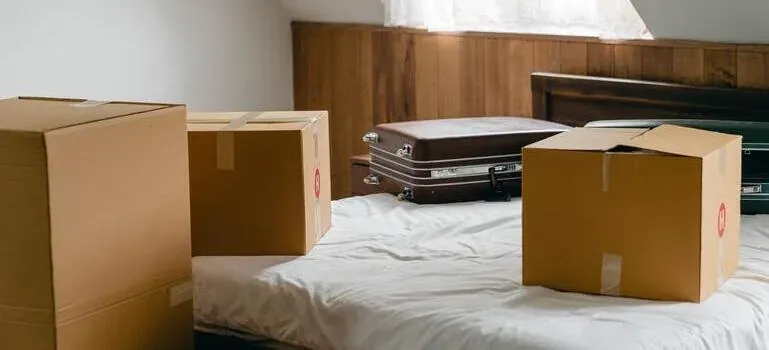 Unbranded boxes and suitcases on bed