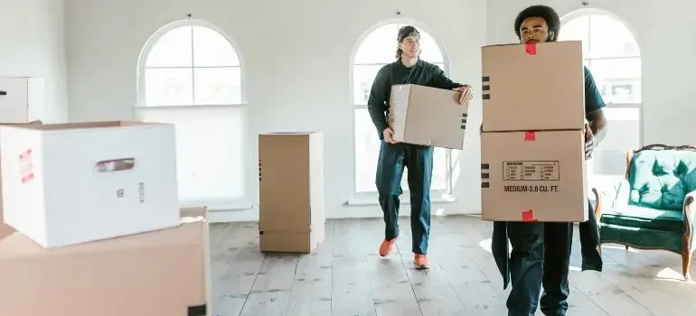 Two movers carrying plain cardboard boxes in bright room