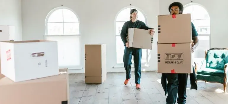 Two movers carrying generic cardboard boxes through sunny room