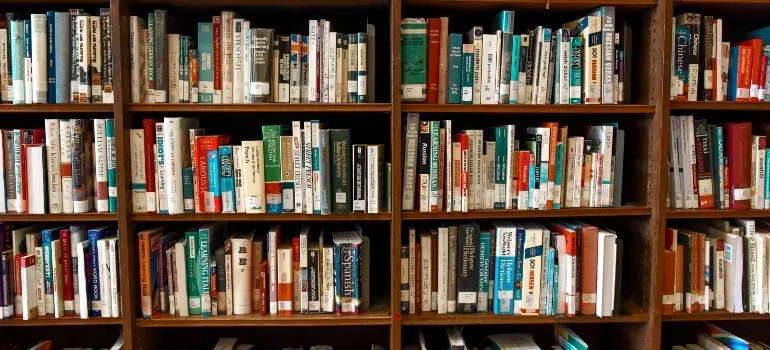 Library bookshelves full of books