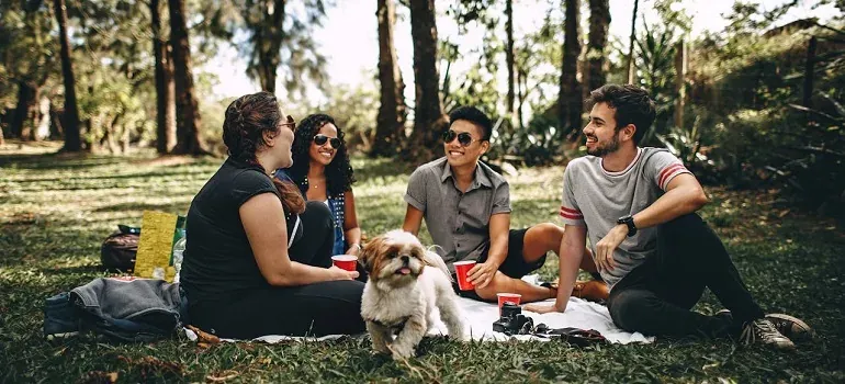 Friends picnic in park with dog
