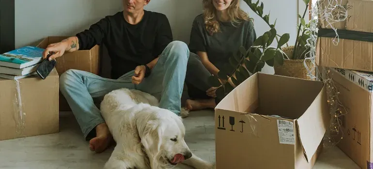 Couple with dog among moving boxes