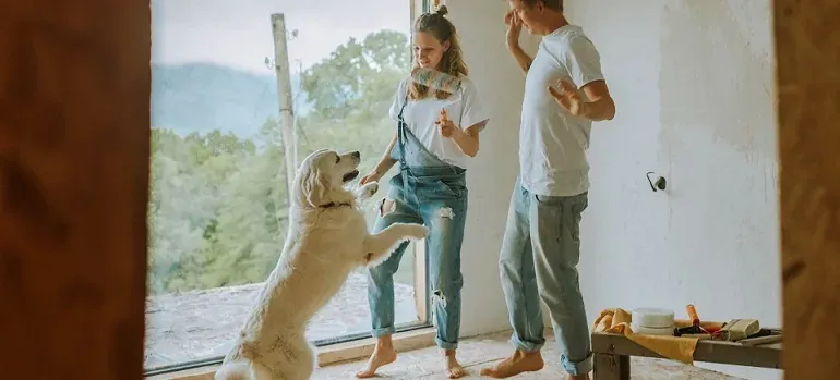 Couple painting room with dog