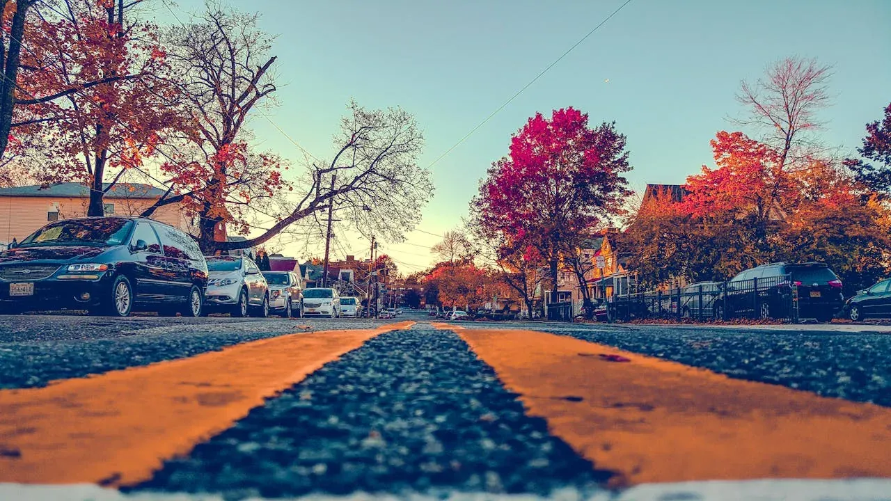 Autumn residential street, low angle road