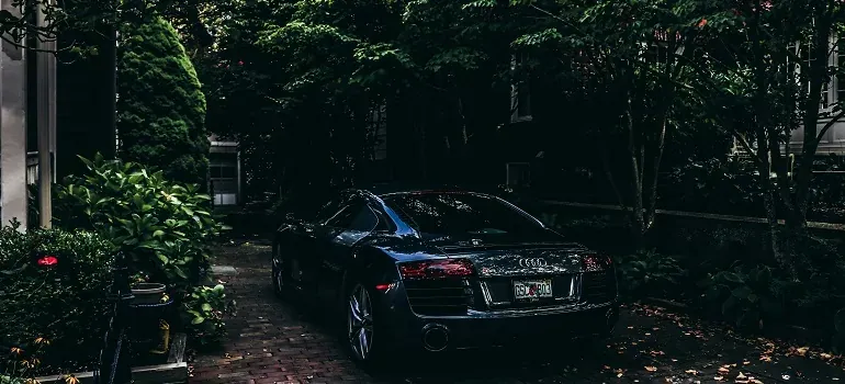 Dark sports car in leafy driveway