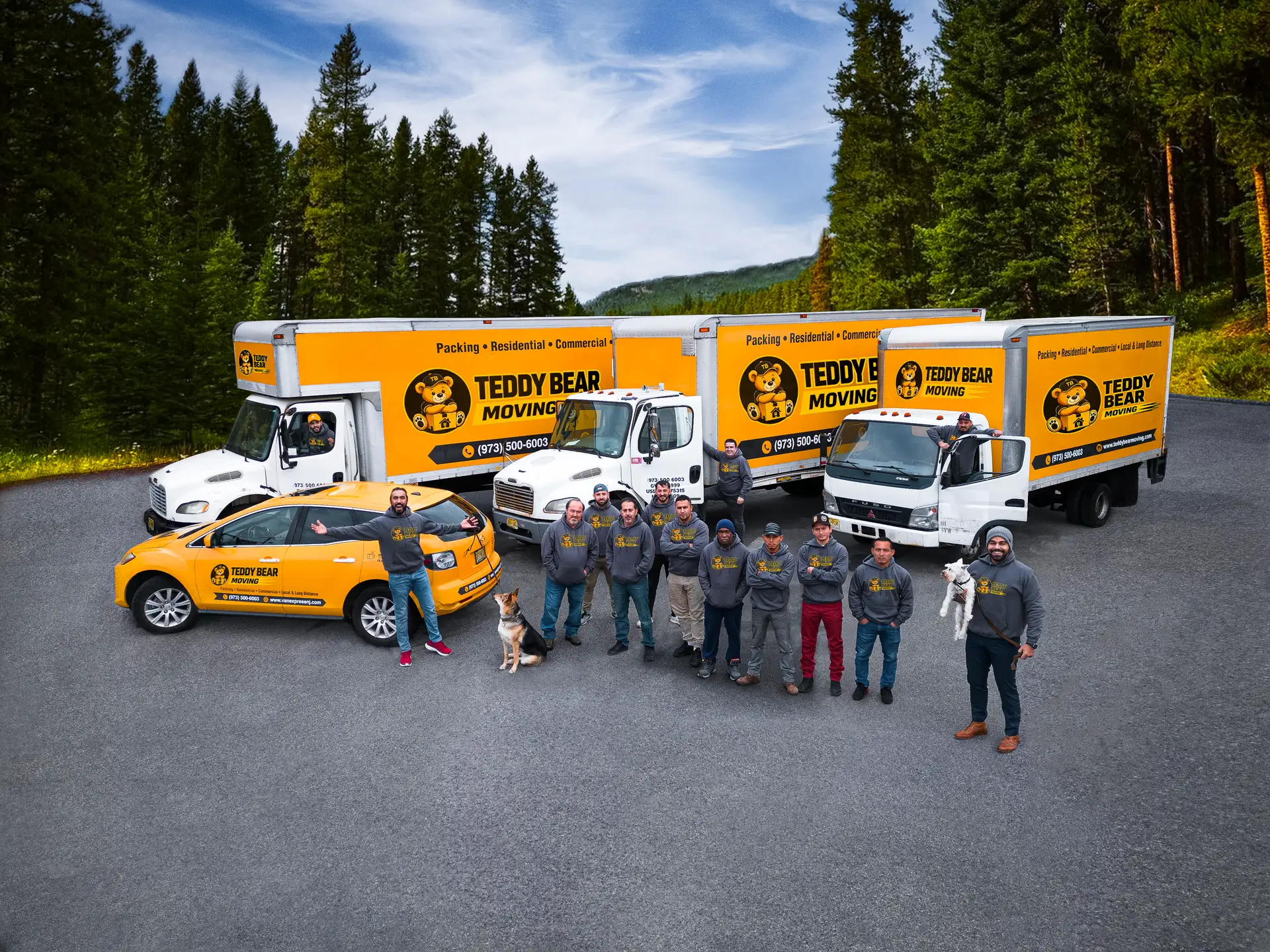 The Teddy Bear Moving team and their dogs alongside three branded yellow moving trucks and a company car