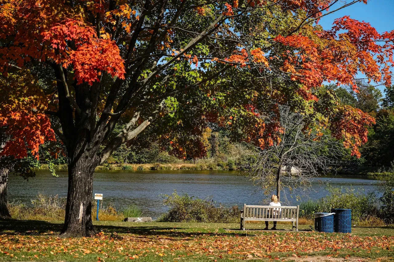 Autumn park bench by river