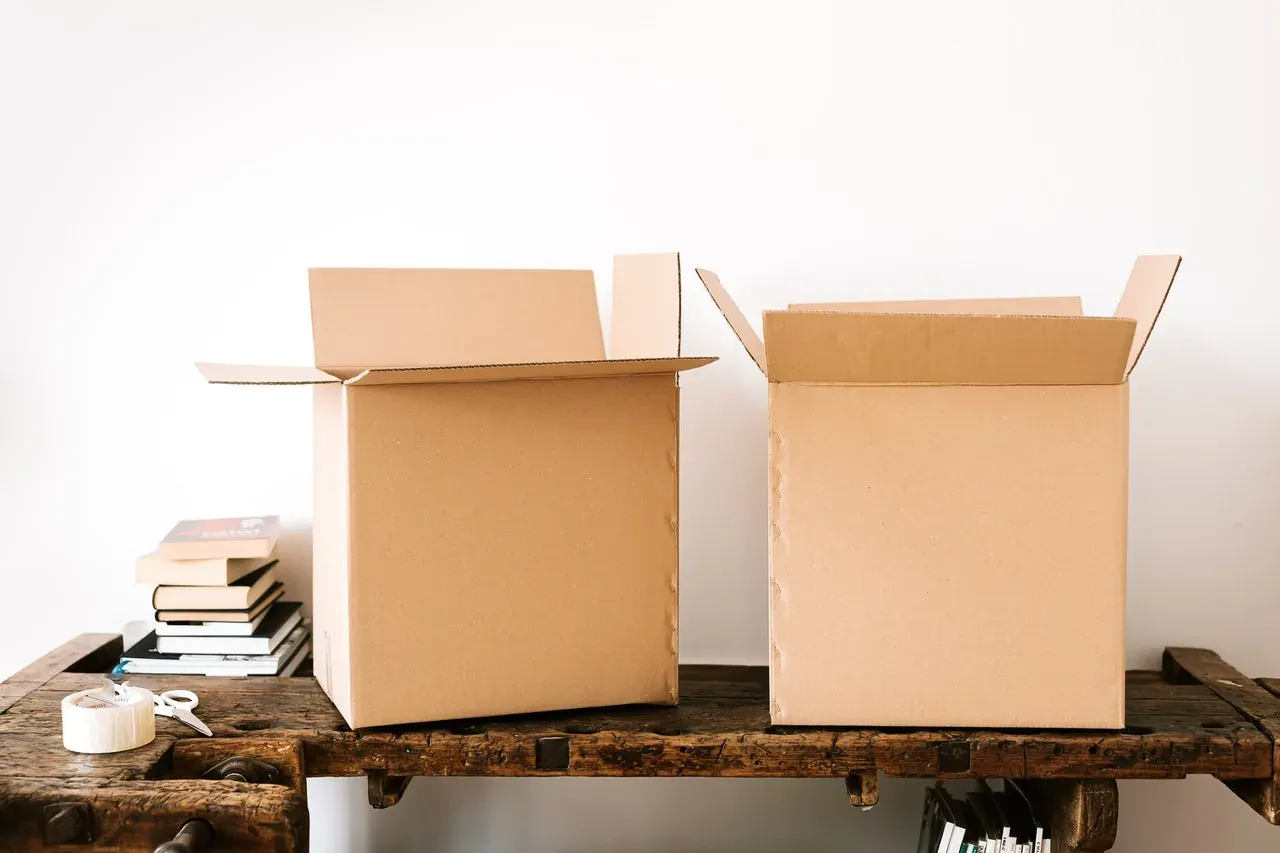 Two open cardboard boxes on bench