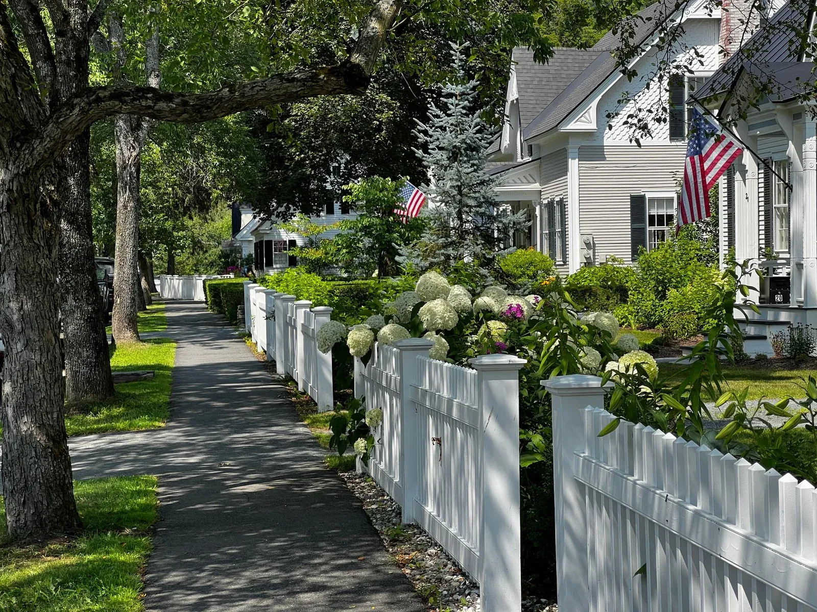 Tree-lined suburban street in Bergen County, New Jersey
