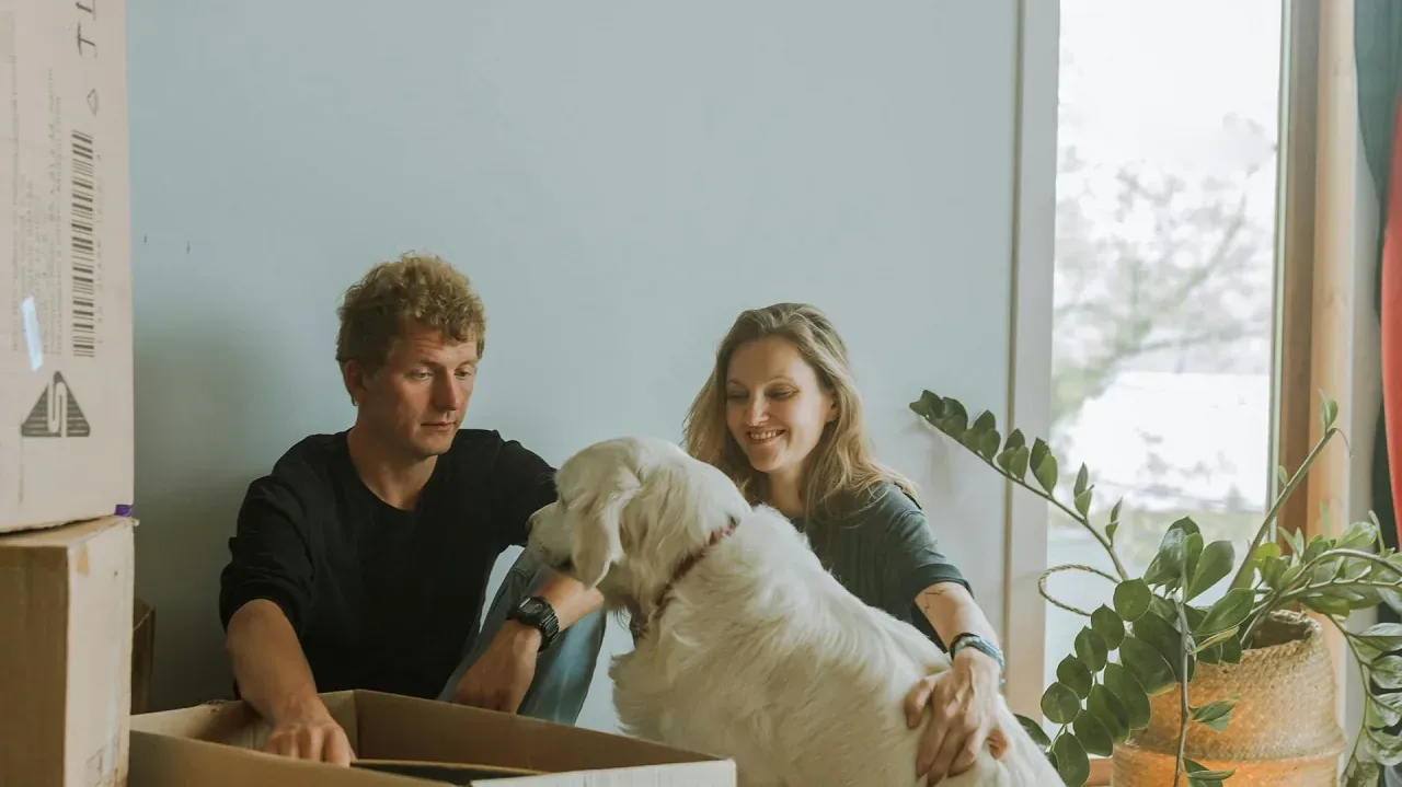 A dog resting comfortably at home after a move in New Jersey