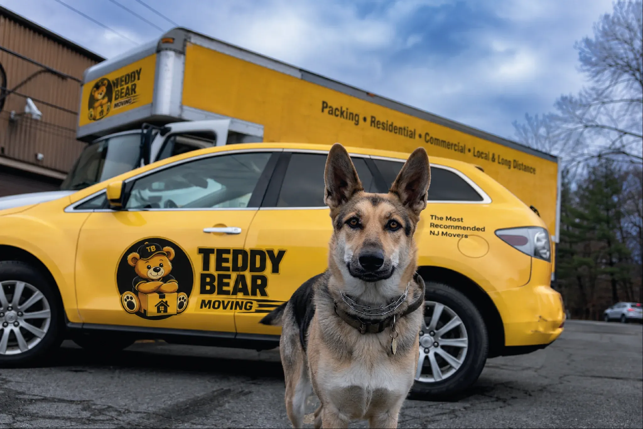 Teddy Bear Moving truck